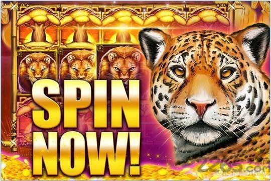 狼的魔法槽手机版下载,狼的魔法槽,休闲游戏,益智游戏